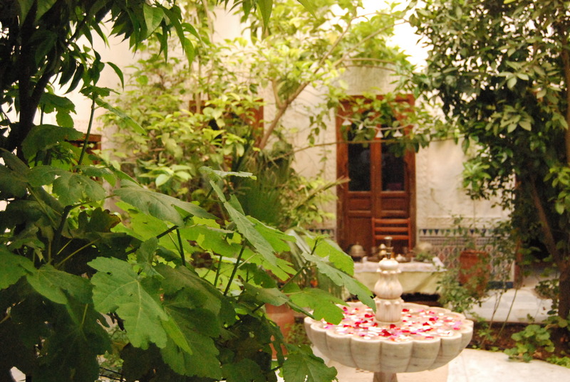 Riad Ben Youssef - Genel