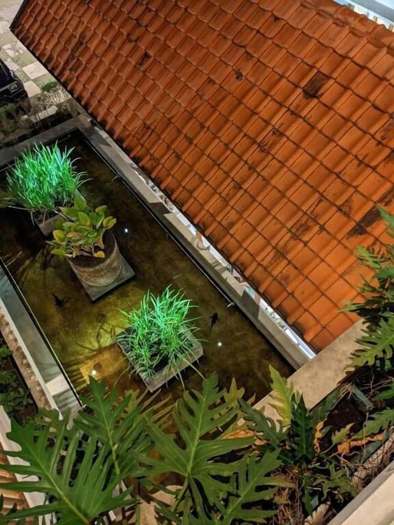 Villa Damar - Genel