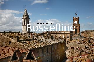 Rossellino®