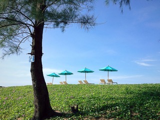 Le Coral Resort and Spa fotoÄŸrafÄ±