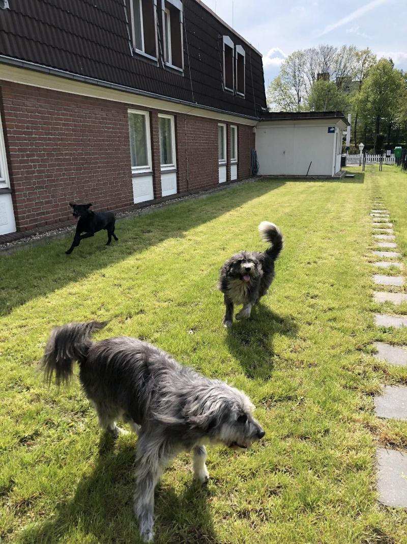 Hotel am Schlosspark Herten - Genel