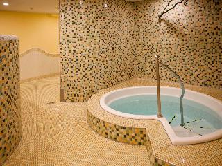 Mercure Hotel Riesa Dresden Elbland fotoÄŸrafÄ±