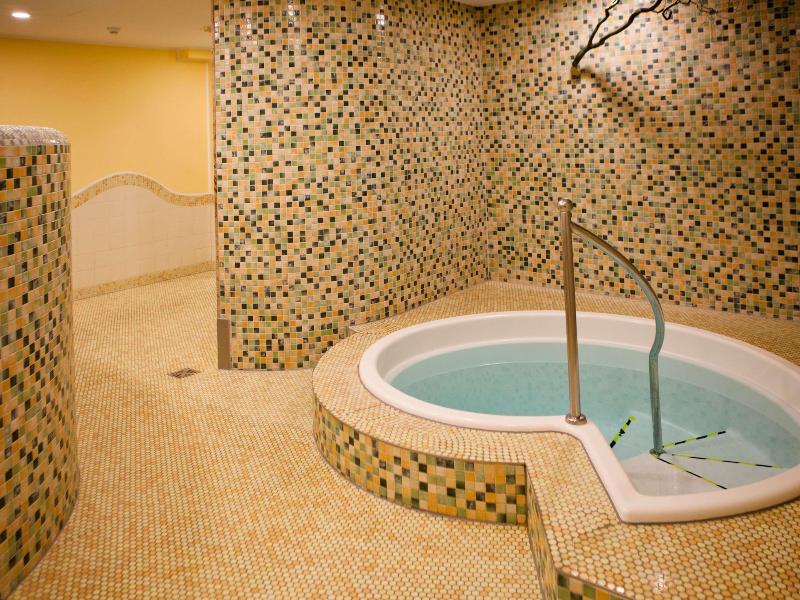 Mercure Hotel Riesa Dresden Elbland - Havuz