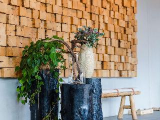 ibis Styles Nagold-Schwarzwald fotoÄŸrafÄ±