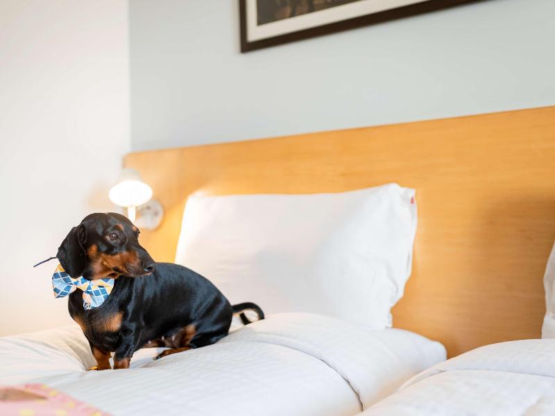 Ibis Stuttgart Airport Messe - Genel