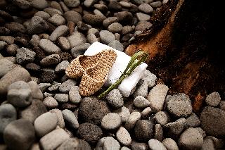Quintinha de Sao Joao fotoÄŸrafÄ±