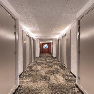 Ibis Murcia