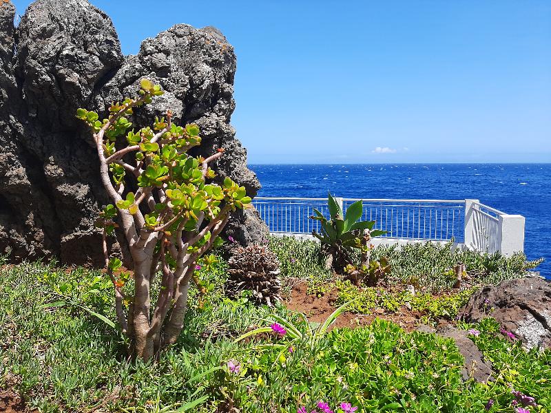 Hotel Roca Mar - Genel