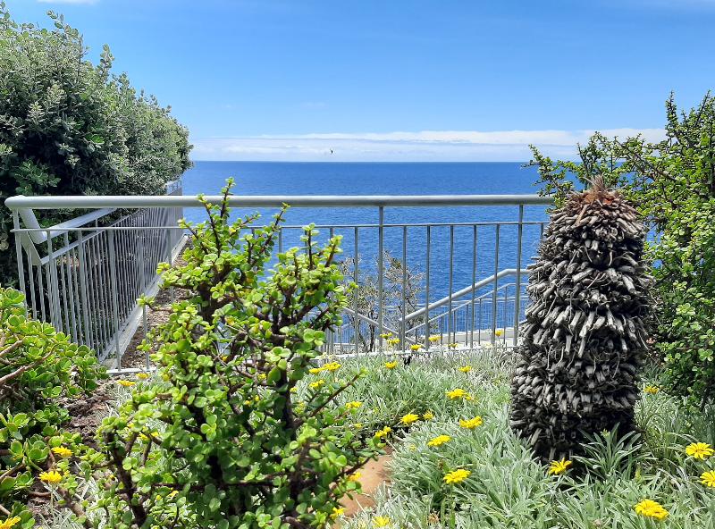 Hotel Roca Mar - Genel