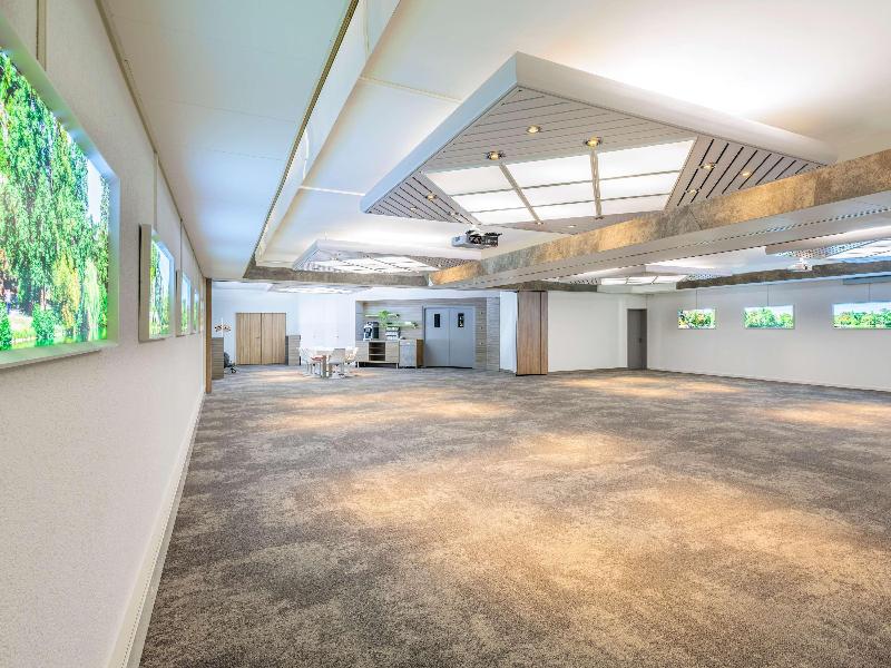 ibis Lausanne Crissier - Toplantı