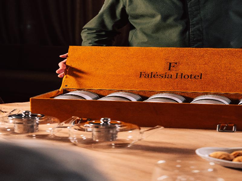 Falesia Hotel – Adults Only - Aktivite