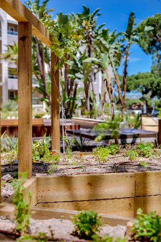Falesia Hotel – Adults Only fotoÄŸrafÄ±