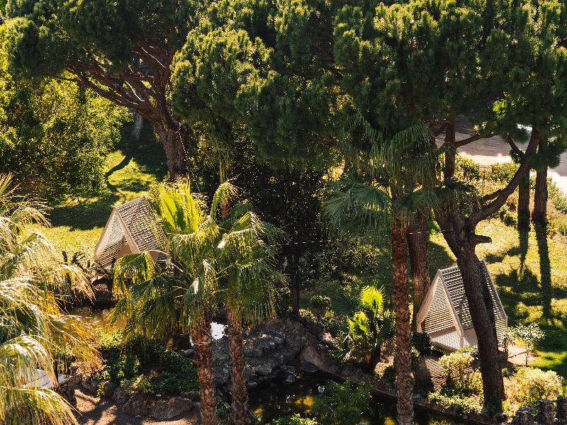 Falesia Hotel – Adults Only - Genel