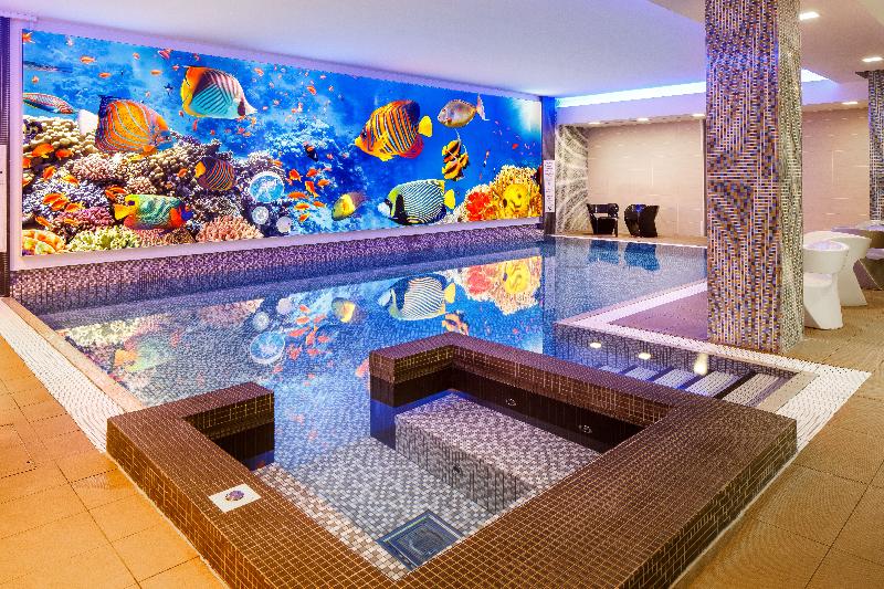 Novotel Londra Blackfriars - Havuz