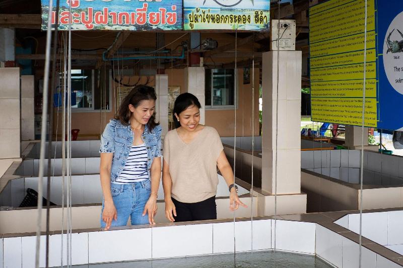 Sheraton Hua Hin Pranburi Villas - Genel