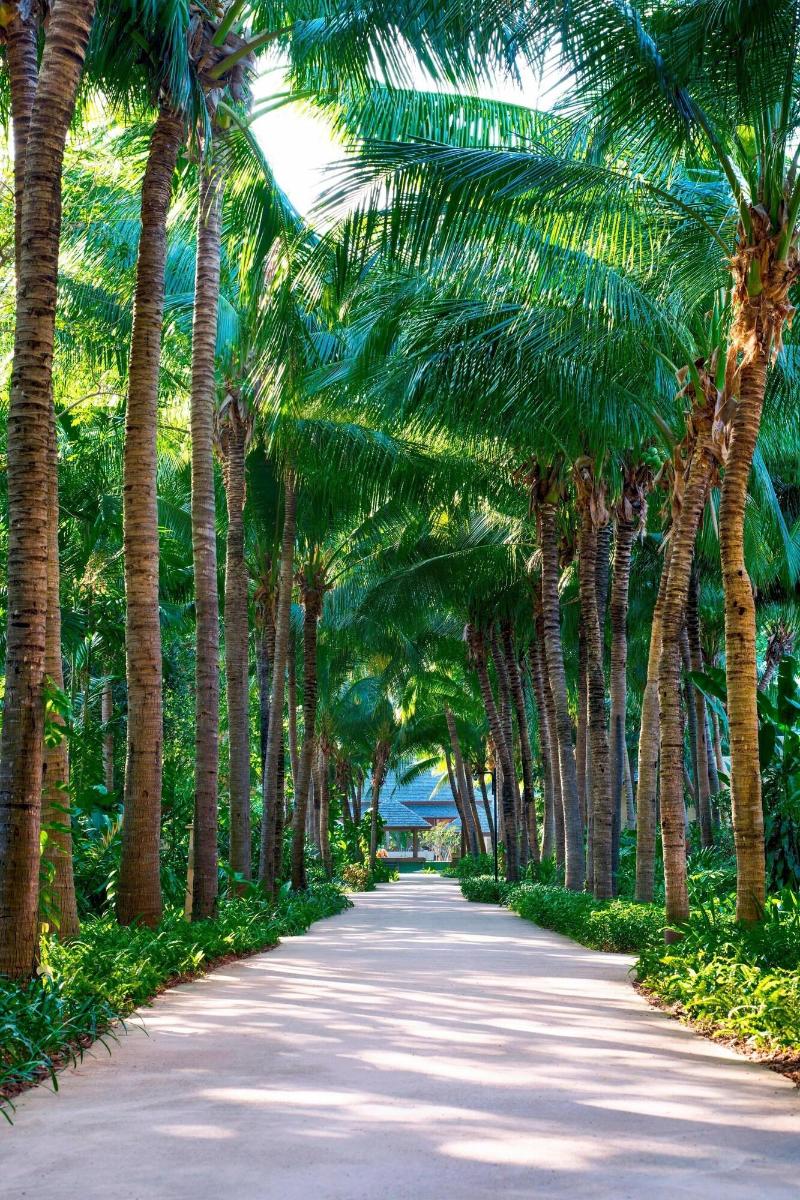 Sheraton Hua Hin Pranburi Villas - Genel