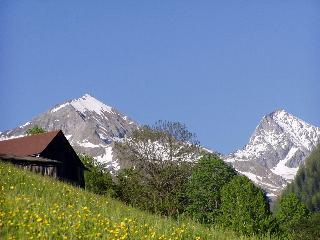 Hubertus fotoÄŸrafÄ±