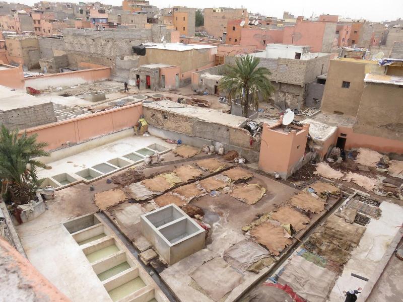Riad Daria - Genel