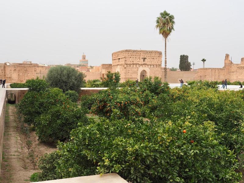Riad Daria - Genel