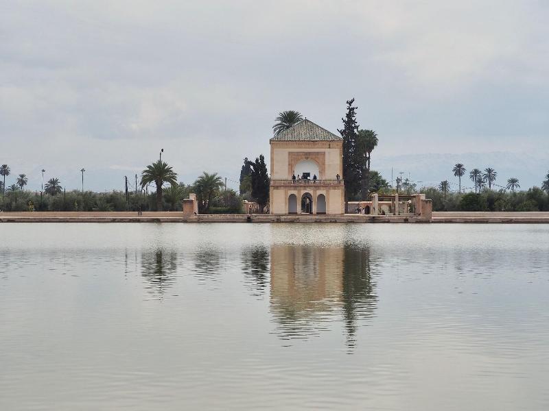 Riad Daria - Genel