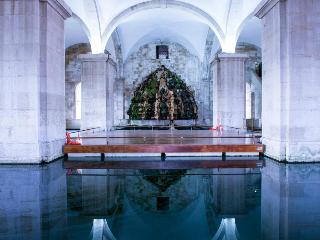 Dom Pedro Lisboa fotoÄŸrafÄ±