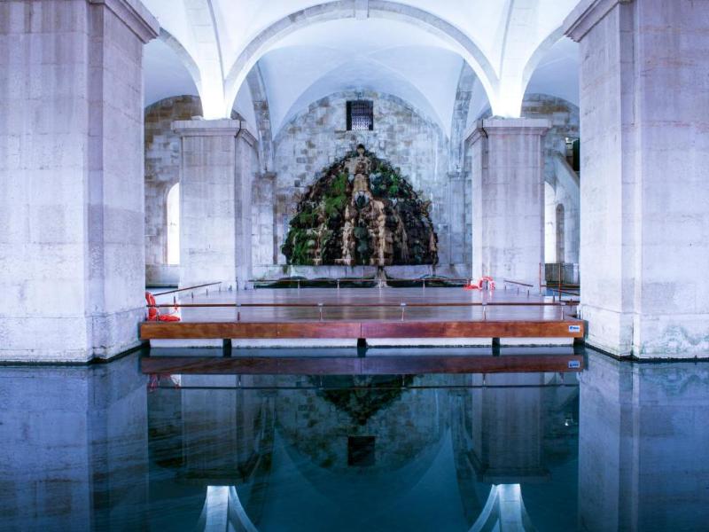 Dom Pedro Lisboa - Genel