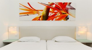 Estrelicia Hotel fotoÄŸrafÄ±