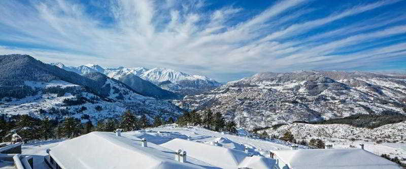 Grand Forest Metsovo - Genel