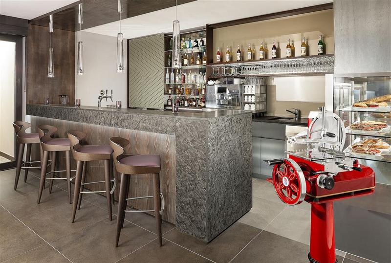 Sheraton Zurich Hotel - Genel
