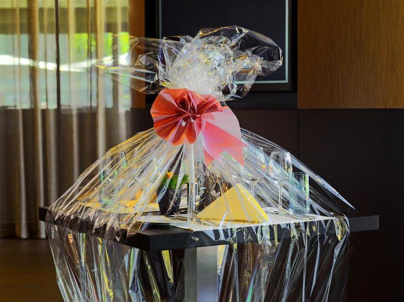 Sheraton Zurich Hotel - Genel
