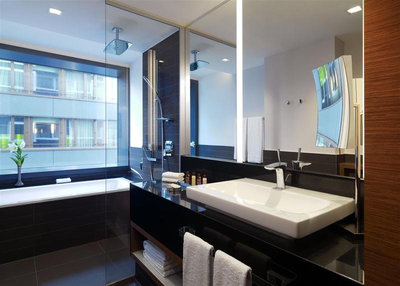 Sheraton Zurich Hotel - Genel