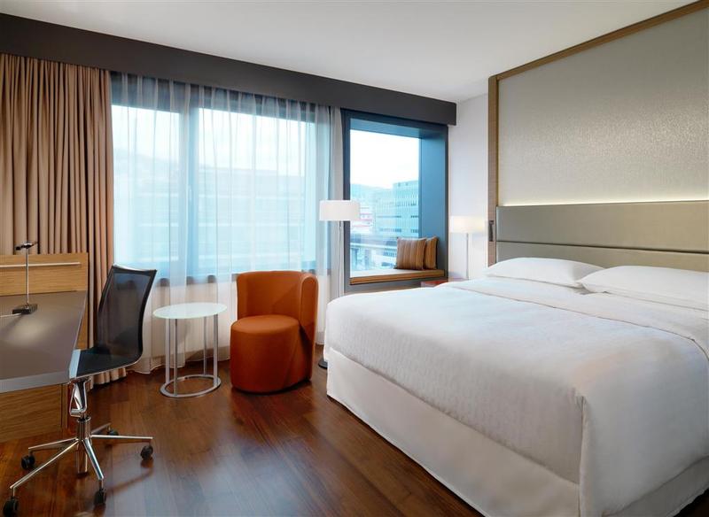 Sheraton Zurich Hotel - Genel