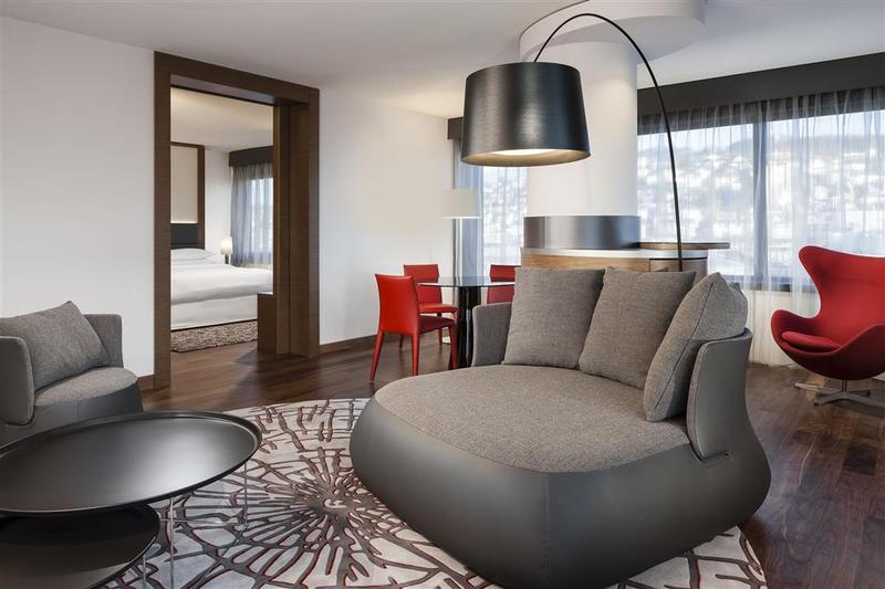 Sheraton Zurich Hotel - Genel