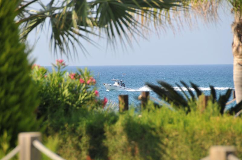 Droushia Heights Hotel - Plaj