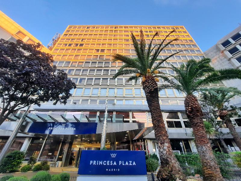 Hotel Princesa Plaza Madrid - Genel