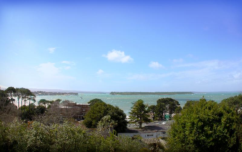 Harbour Heights - Genel