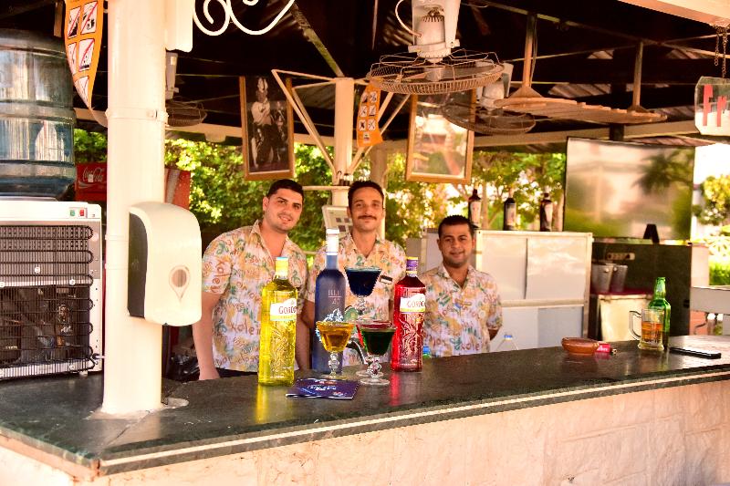 Dive Inn Resort - Bar