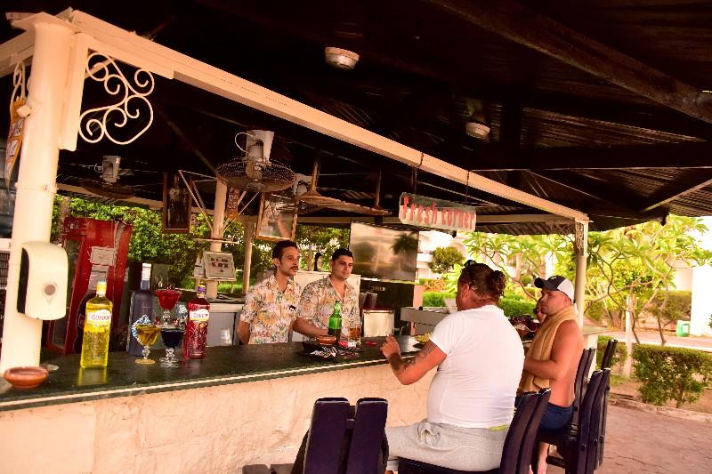 Dive Inn Resort - Bar