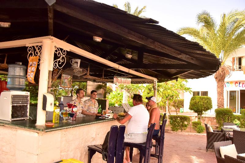 Dive Inn Resort - Bar