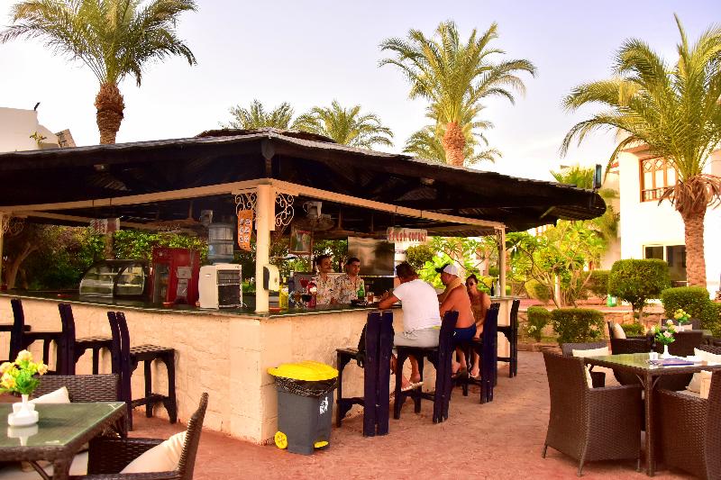 Dive Inn Resort - Bar