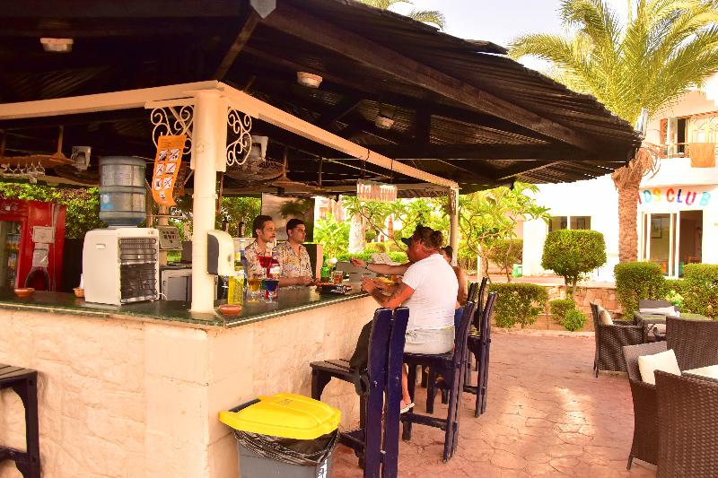 Dive Inn Resort - Bar