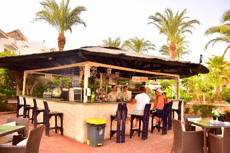 Dive Inn Resort - Bar