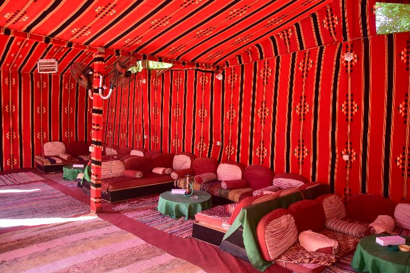 Dive Inn Resort - Aktivite