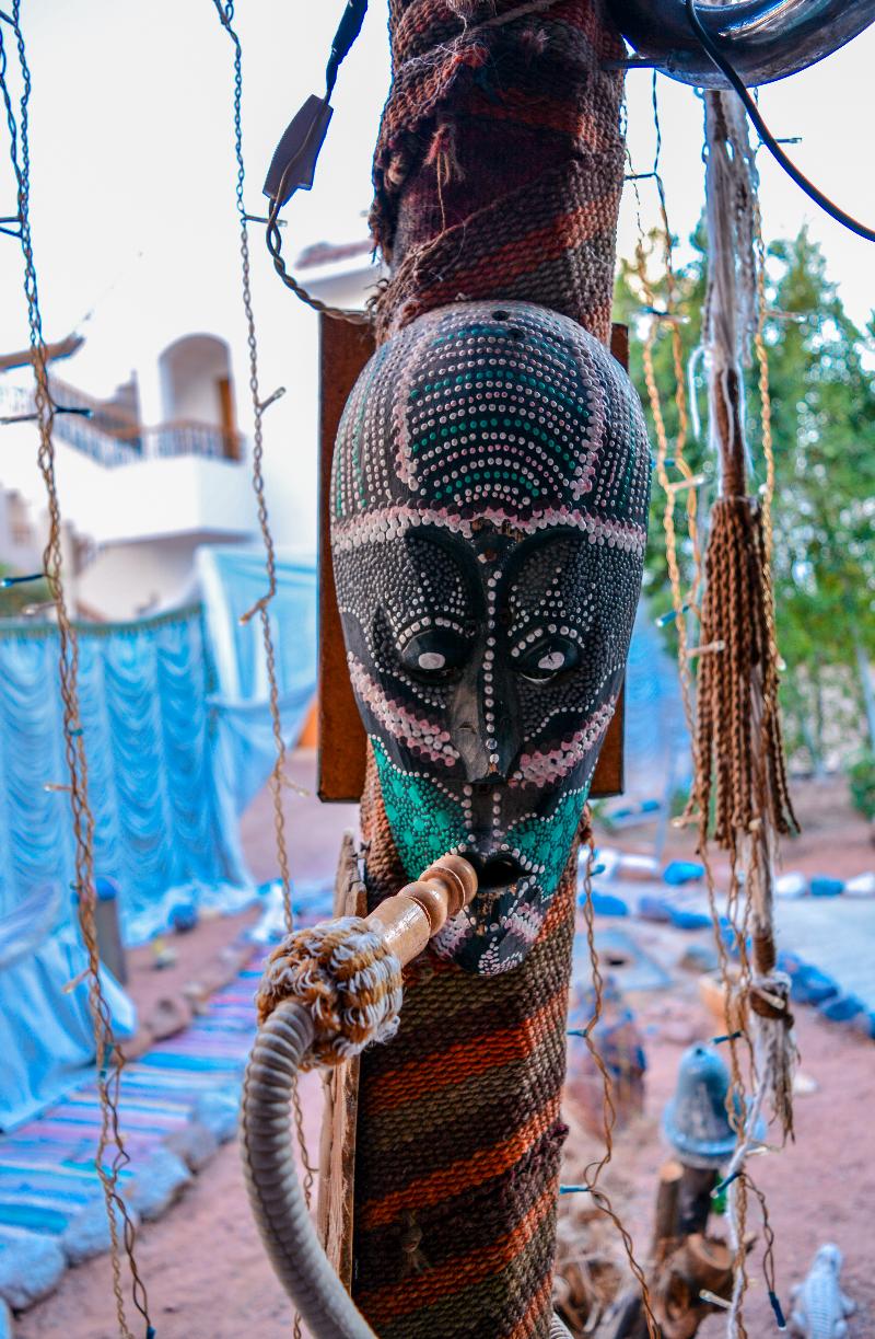 Dive Inn Resort - Aktivite