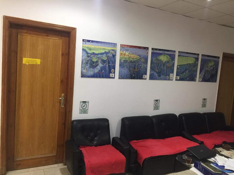 Dive Inn Resort - Aktivite