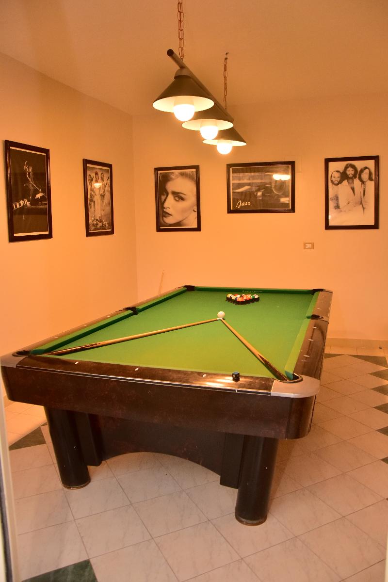 Dive Inn Resort - Aktivite
