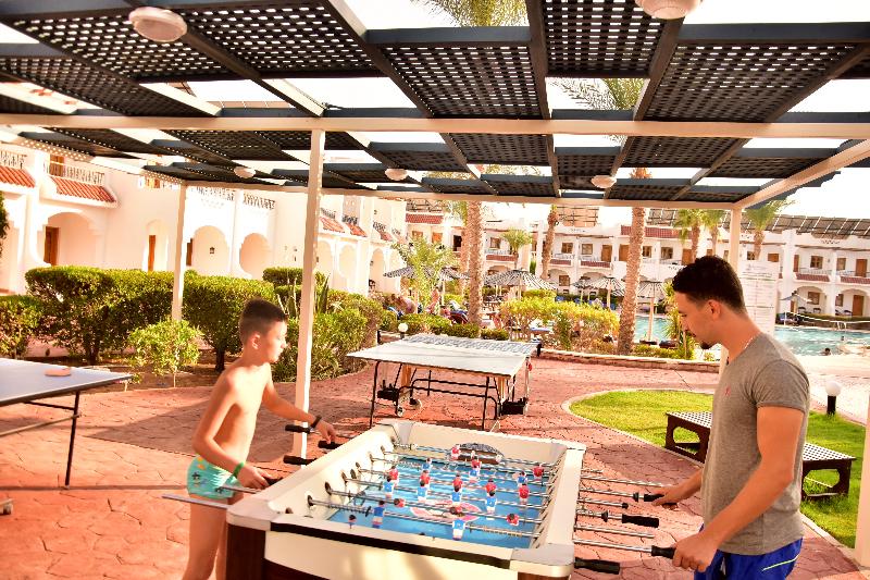 Dive Inn Resort - Aktivite