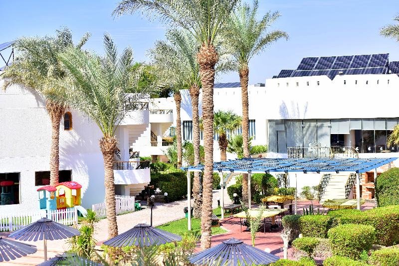Dive Inn Resort - Aktivite