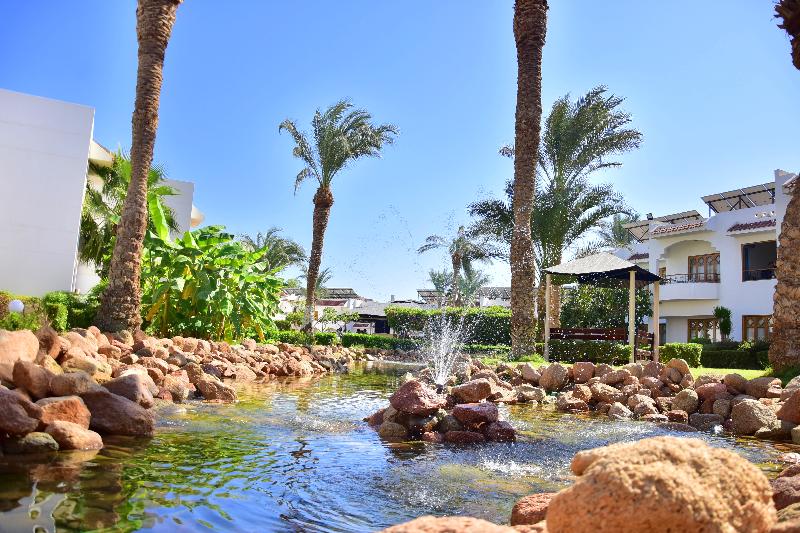 Dive Inn Resort - Genel