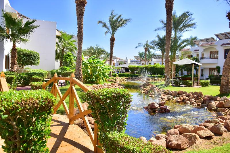 Dive Inn Resort - Genel